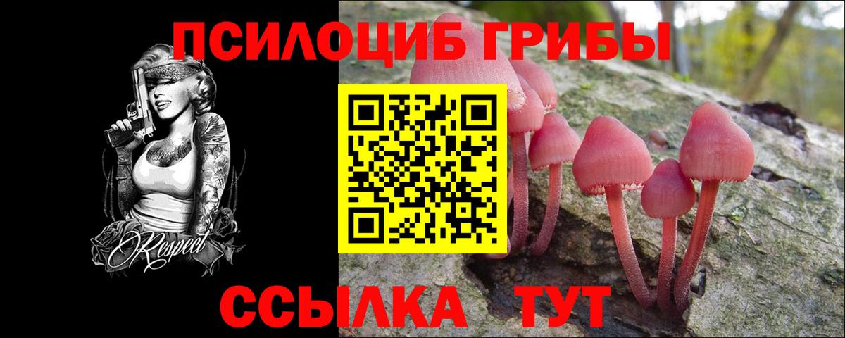 Галлюциногенные грибы Magic Shrooms  Галлюциногенные грибы мицелий  Вход с VPN  Туапсе 